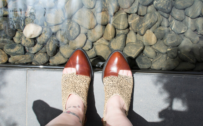 %d7%a0%d7%a2%d7%9c%d7%99%d7%99%d7%9d-%d7%9e%d7%a0%d7%95%d7%9e%d7%a8%d7%95%d7%aa-%d7%a9%d7%9c-%d7%92%d7%a4%d7%a8%d7%99-%d7%a7%d7%9e%d7%a4%d7%91%d7%9c