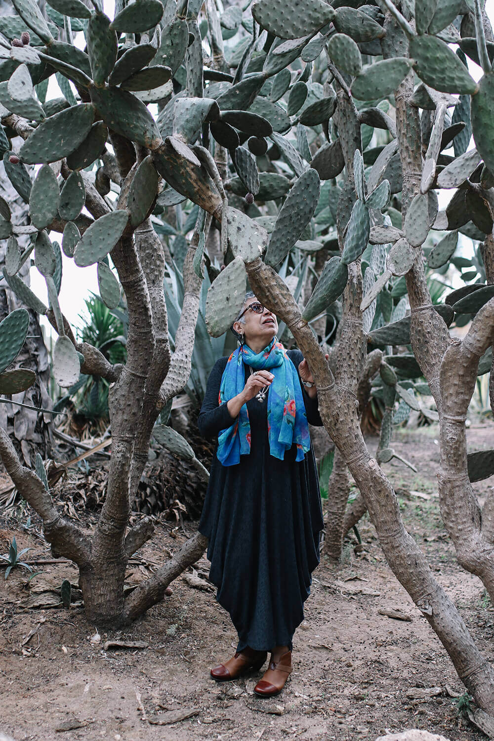 אוצרות מהטבע רחלה אלתר סטודיו רחלא